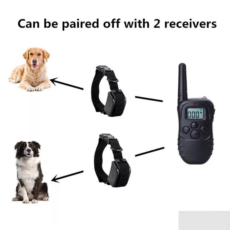 107797153_5fee451378fec0-85348953107657048_5fea4