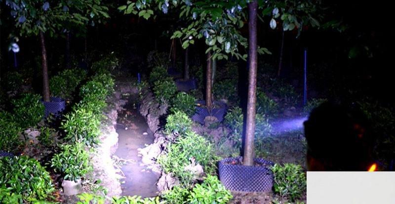 99355209_5f28b93fdaa307-5387503046471105_591f76