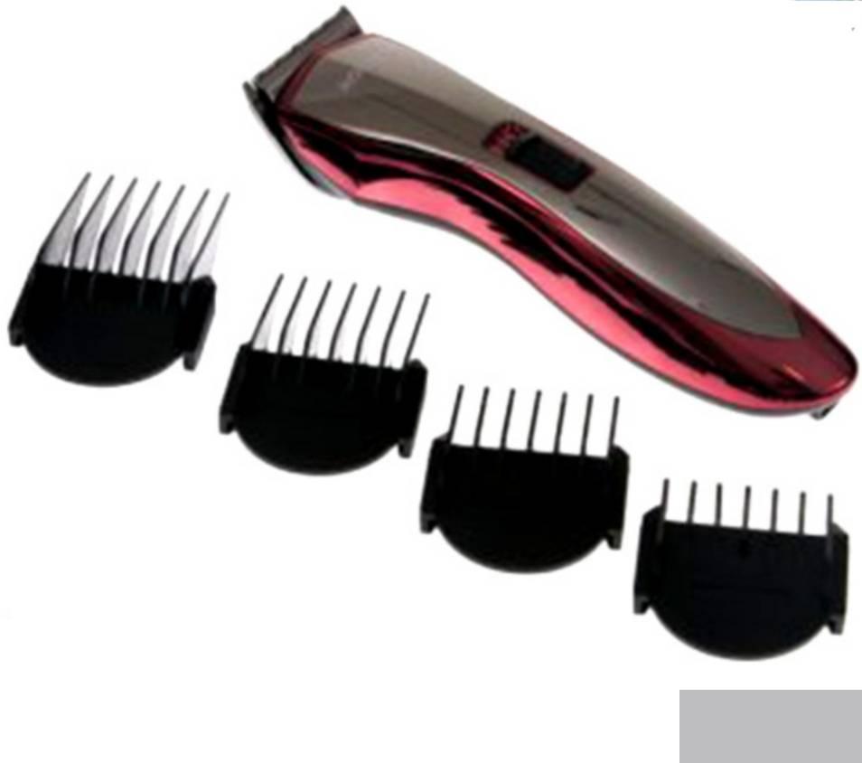 106039396_5fc7b8733fdff5-218810741606924323961