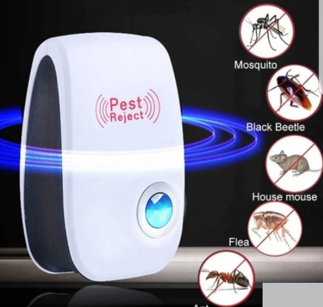 116601026_60a617eda96647-765991451621497782255