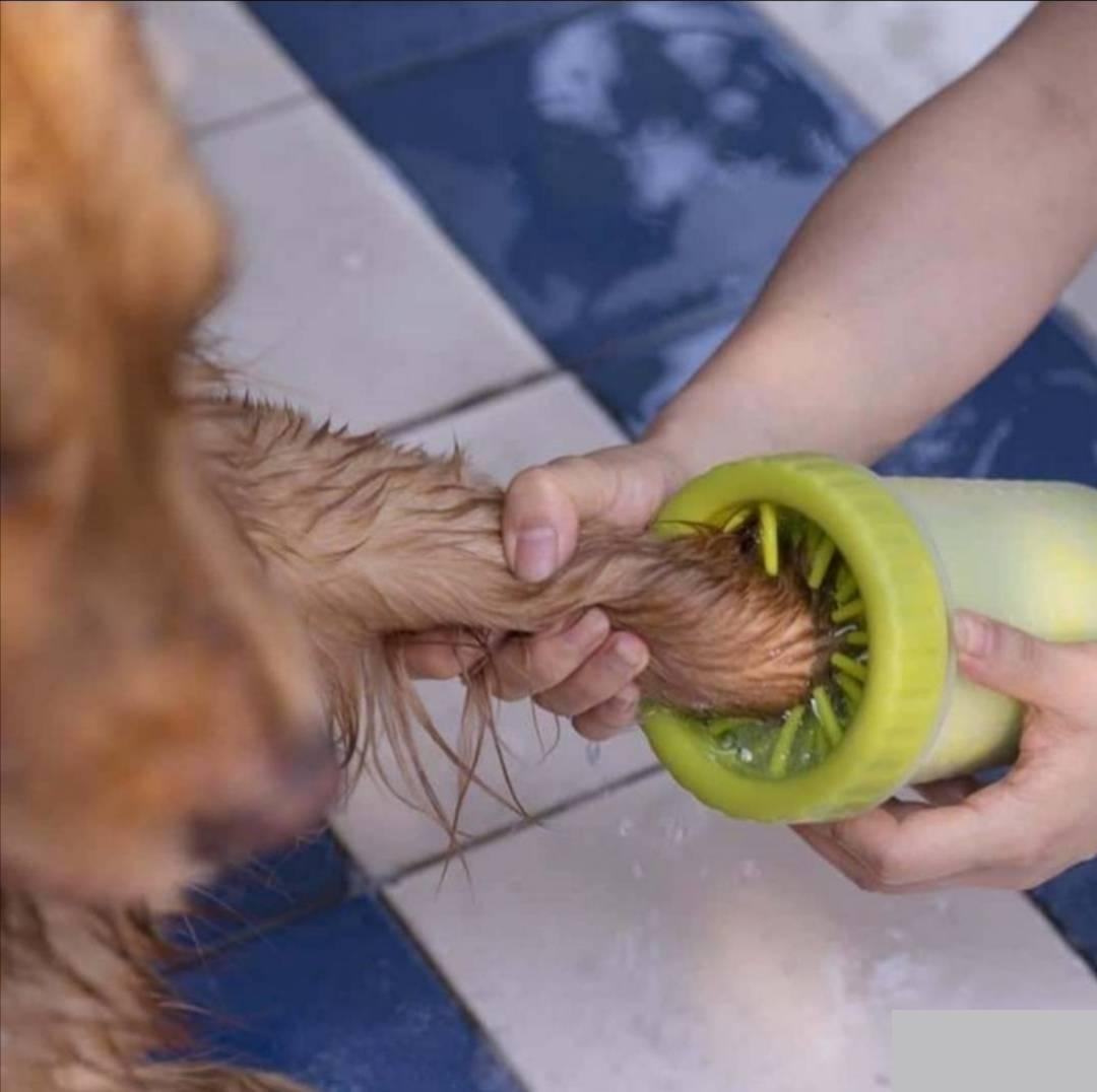 121441337_611aacee66ffb8-976685991629138145771