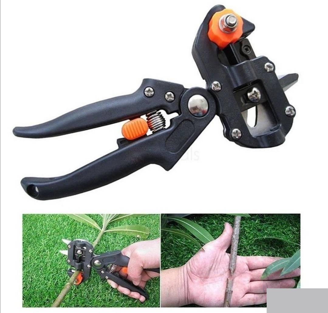 124457724_615f4091508102-970711331633632325500