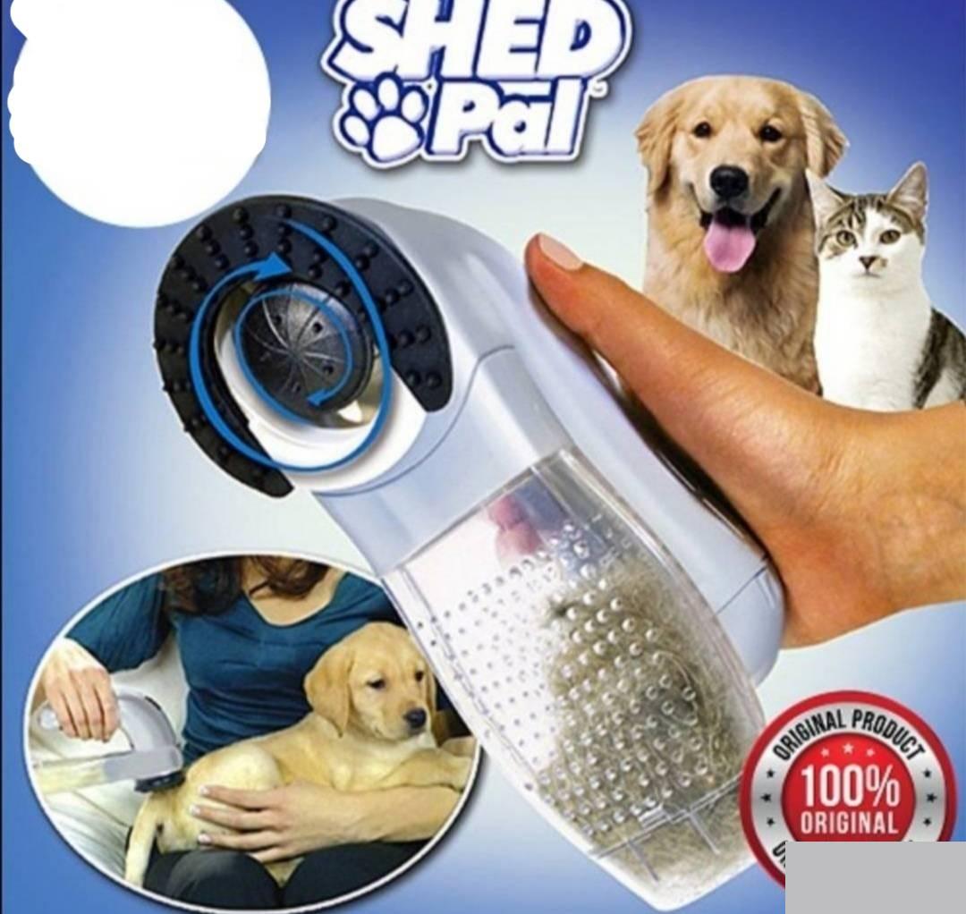 125394833_6174099005d820-310241291634994539157