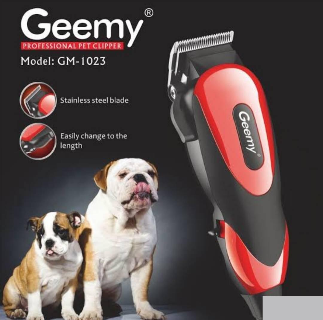 126848381_6193c08a109b94-055907981637073013767