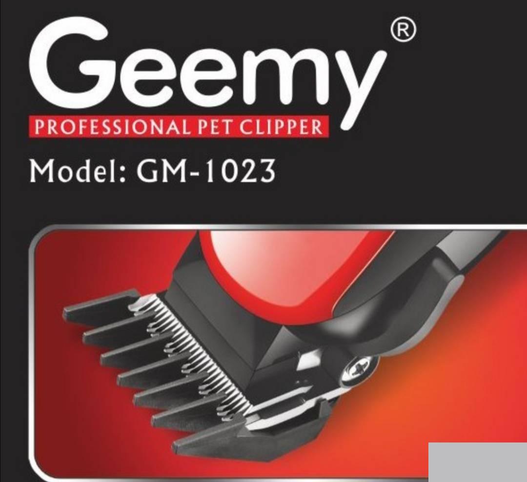 126848381_6193c08a1446d5-522954091637073013865