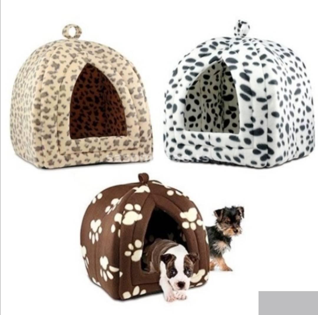 126849308_6193c4c31f0020-773812121637074036149