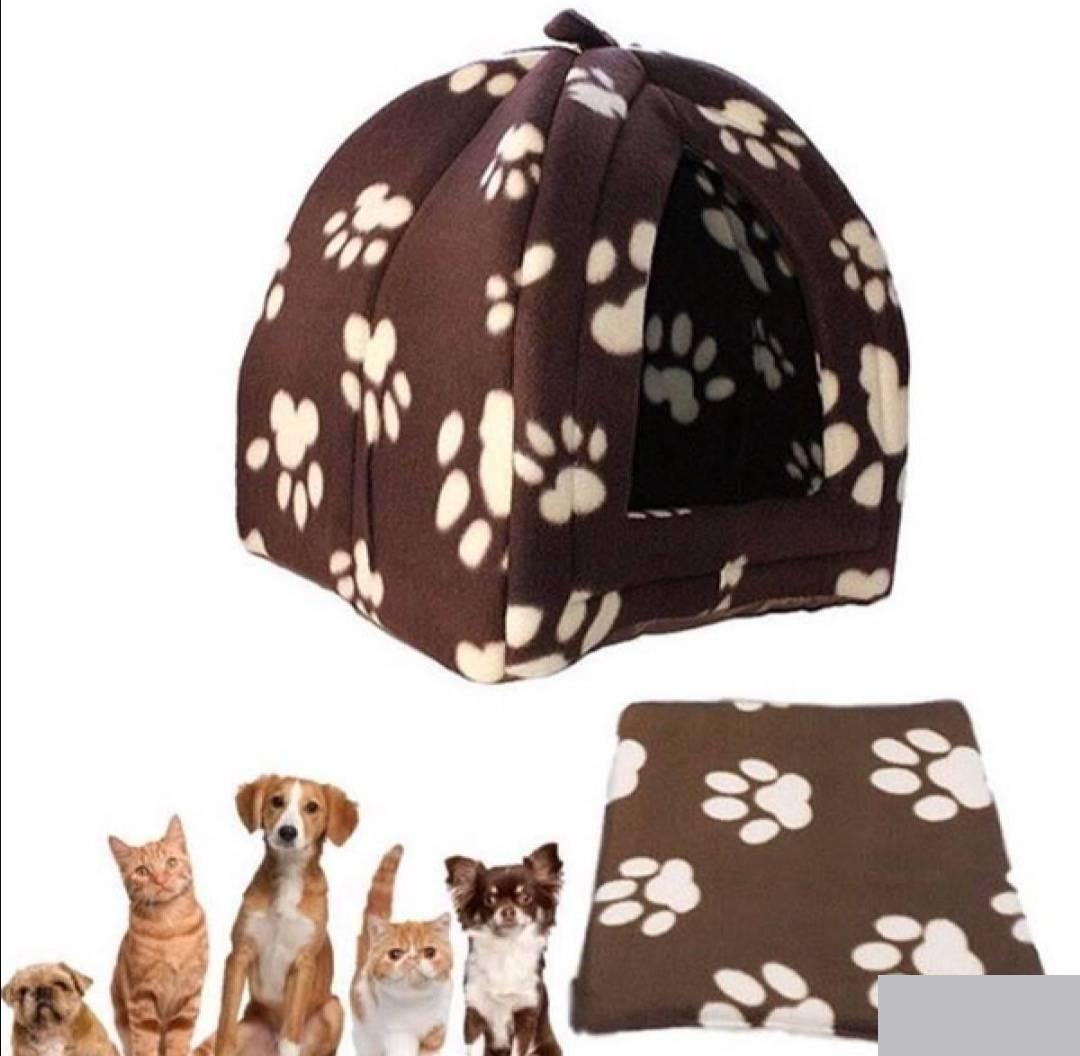 126849308_6193c4c323fef3-730641681637074036303