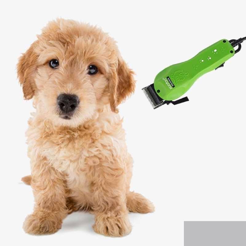 120450621_6101841b979ac7-901985481627489237049