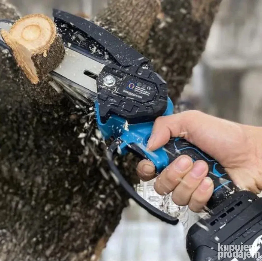 171379984_66e68280343a25-18061255d9dadb56-b162-4